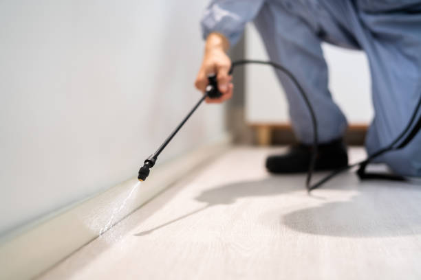 Licensed Pest Control service in Meadow Lake, NM - Show Me Pest Control